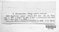 Candolleomyces candolleanus image